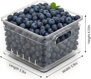 Transparent PET Fruit Draining and Washing colander food storage boxes plastic cookie containers refrigerator organizers (2, Square)